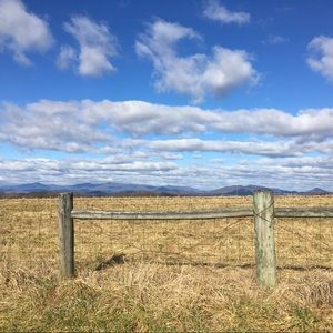 Meet your Posher, Abby